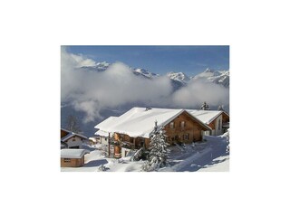 Winter verschneit