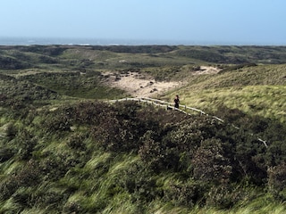 Amsterdamse Waterleidingduinen und das Meer
