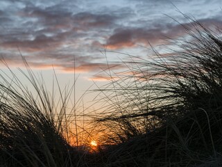 Apartment Zandvoort Environment 19