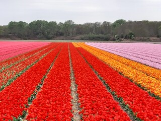 Apartment Zandvoort Environment 20