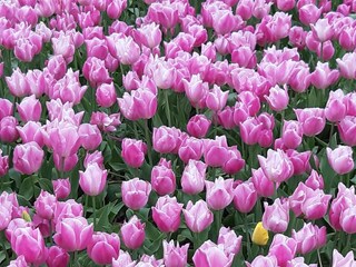 Appartamento Zandvoort Ambiente 21