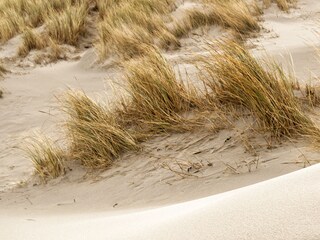 Appartamento Zandvoort Ambiente 22