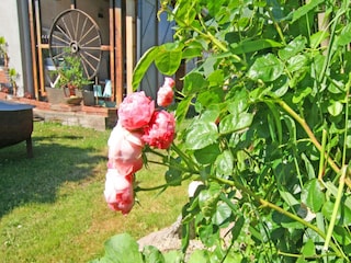 Apartment Wiek Outdoor Recording 19