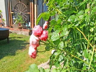 Appartement Wiek Buitenaudio-opname 19