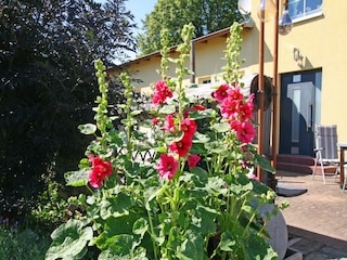Apartment Wiek Außenaufnahme 9