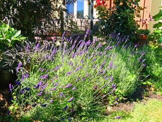 Apartamento Wiek Grabación al aire libre 13
