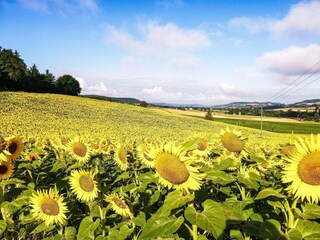 Casa de vacaciones Tournon-d'Agenais Entorno 19