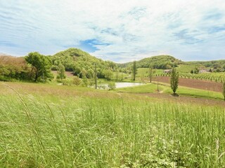 Maison de vacances Tournon-d'Agenais Environnement 20