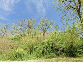 Casa per le vacanze Tournon-d'Agenais Ambiente 24