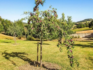 Ferienhaus Tournon-d'Agenais Umgebung 22