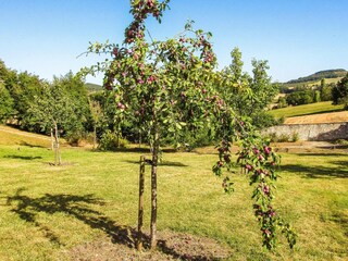 Maison de vacances Tournon-d'Agenais Environnement 22