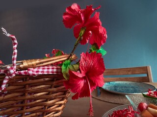 Villa Sainte-Anne (Martinique)  39