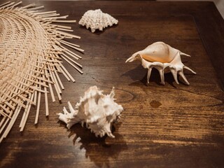 Villa Sainte-Anne (Martinique)  52