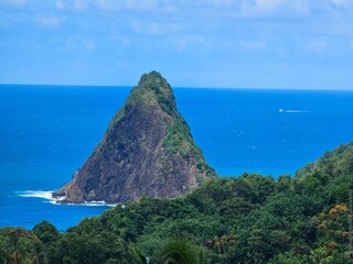 Bungalow La Trinité Environnement 36
