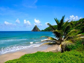 Bungalow La Trinité Environnement 18