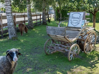 ritterhof blue sky-6163