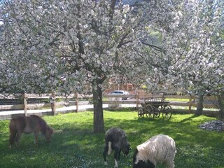 IMG_20210603_181105_209