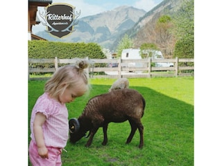 InCollage_20220517_103358017