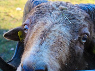 20221115143810_IMG_0742_edited