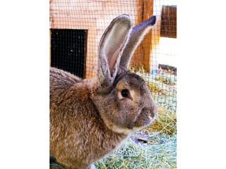 20221115143854_IMG_0746_edited