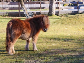 20221115143714_IMG_0739_edited