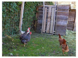 20221115144413_IMG_0777_edited