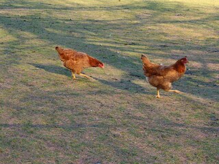 20221115144950_IMG_0807_edited