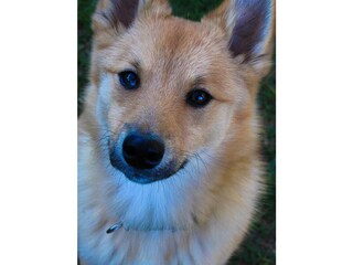 20221115145029_IMG_0811_edited