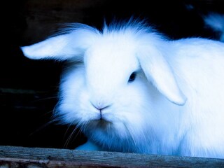 20221115145216_IMG_0821_edited