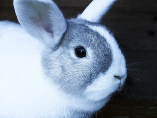 20221115145328_IMG_0831_edited