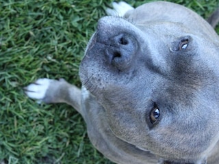 20221115145111_IMG_0814