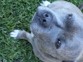 20221115145111_IMG_0814