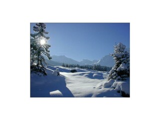 Winter Astenschmiede