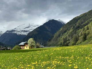 Frühling am Haus Bergblick in Rauris IMG_7175