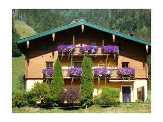 Blumenpracht Haus Bergblick in Rauris