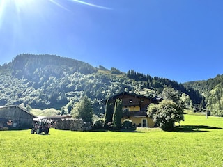 Frühling am Haus Bergblick in Rauris IMG_8927