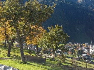 Langrieshof Obstgarten und Aussicht im Sommer