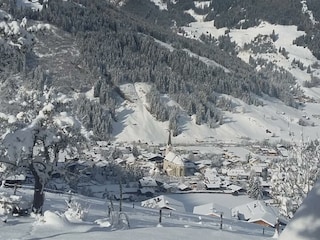 Langrieshof Obstgarten und Aussicht im Winter