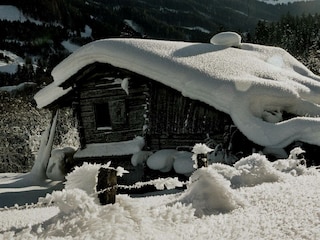 Wagner Richard Scherm viel schnee