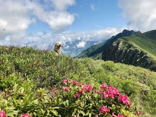 3B66EF8D-59A6-45A3-B665-45DC099C80C7