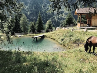 8CF31F69-6D5A-4005-A563-9A52F7587708