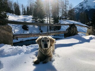 12E3FA5D-F927-4B1F-B439-546BEB4B2AD4 (1)