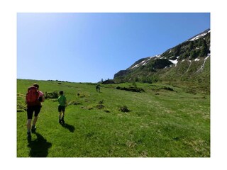 Blick auf die Feldereralm