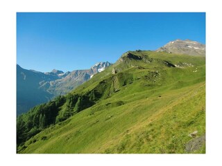 im Hintergrund der Hohe Sonnblick