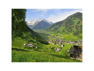 4749738261_7d202c4316_b