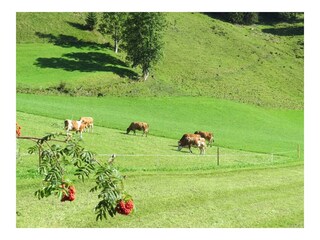 FB_IMG_1641406568263