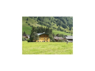 Sommer Rückansicht