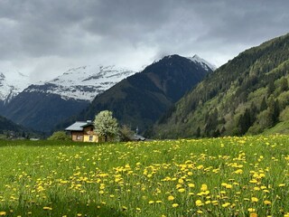 Haus Bergblick in Rauris im Sommer IMG_7176