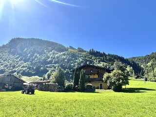Frühling am Haus Bergblick in Rauris IMG_8927