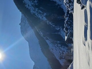 20241229_125034
